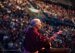 <p>Speaker Spotlight: Jane Goodall</p>