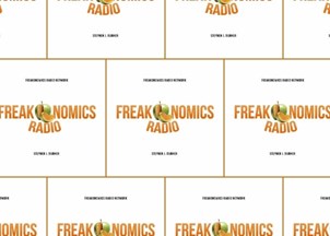 <p>Stephen Dubner hosts 'Freakonomics Radio'</p>
