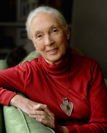 Jane Goodall headshot