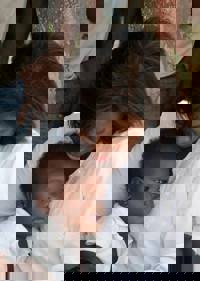 Ertharin Cousin photo 3