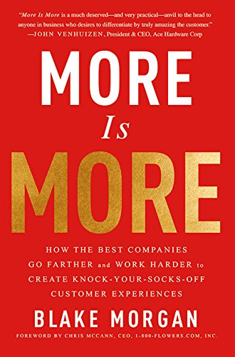 More Is More: How the Best Companies Go Farther and Work Harder to Create Knock-Your-Socks-Off Customer Experiences