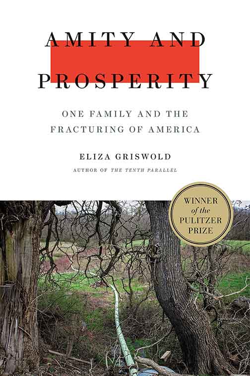 Amity and Prosperity: One Family and the Fracturing of America 