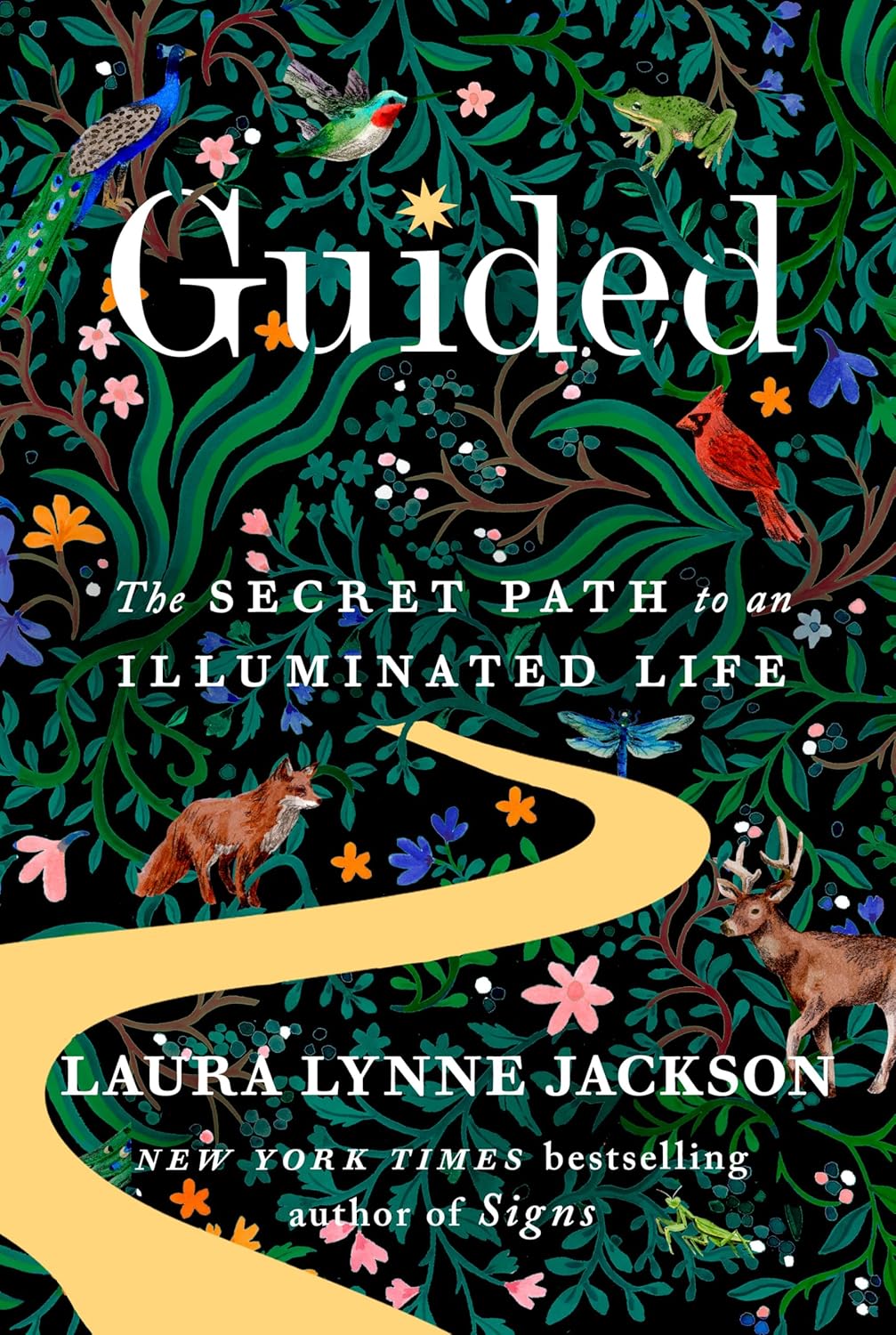 Guided: The Secret Path to an Illuminated Life
