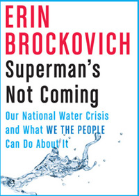 Erin Brockovich photo 3