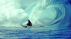 Shaun Tomson photo 2