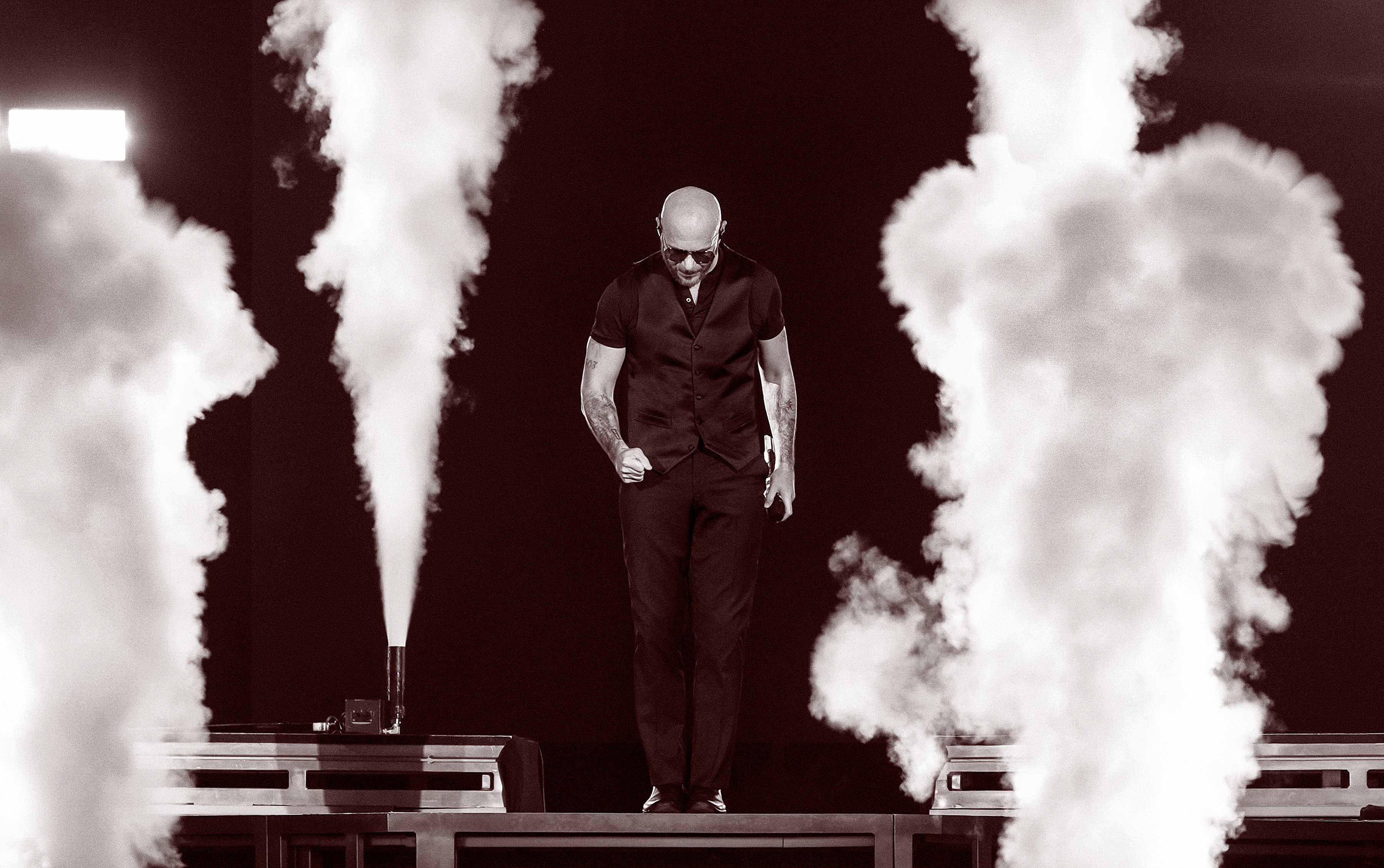  Pitbull photo 2