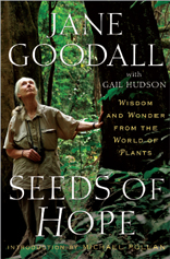 Seeds Of Hope: Wisdom and Wonder From the World of Plants
