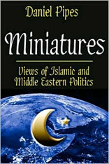 Miniatures: Views of Islamic and Middle Eastern Politics 