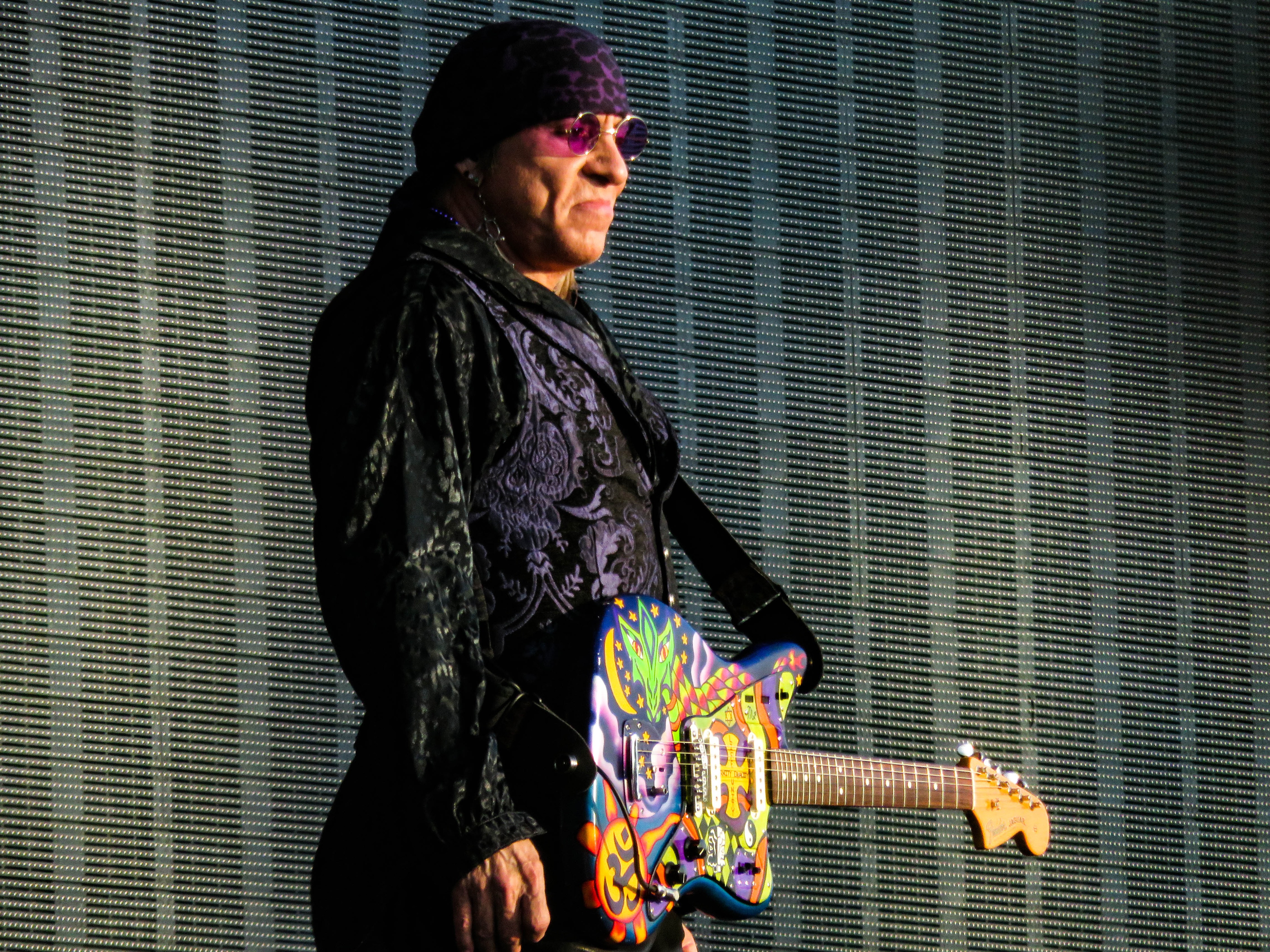 Steven Van Zandt headshot