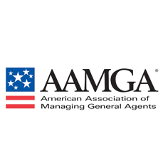 Bernd G. Heinze, Esq., Executive Director AAMGA